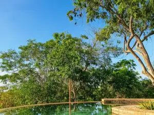 Utopia Rote Lodge