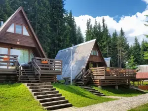 Romantica Forest Guest House