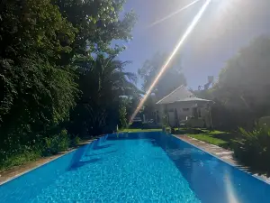 Cabanas las Palmeras