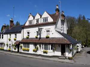 The Drummond at Albury