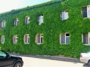 Hotel Lilo Near Airport