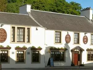 Laird and Dog Inn