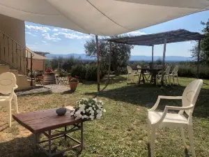 Agriturismo la Posta Reale-Wine Cellar