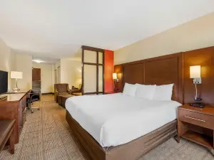 Comfort Suites East Lincoln - Mall Area