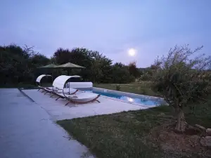 多梅因渡渡旅館