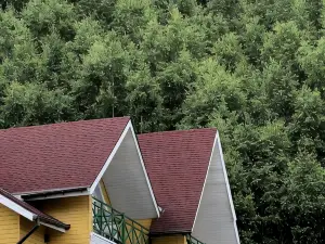 Larch Boutique Hotel