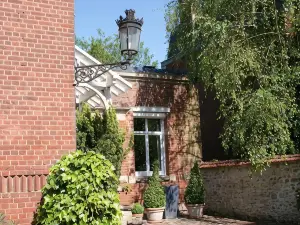 Les Hortensias