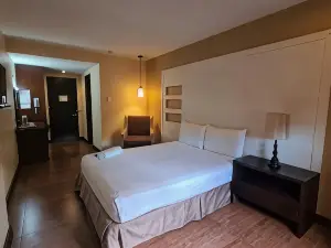 Hotel Maiya