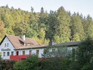 Seehaus Forelle Haeckenhaus