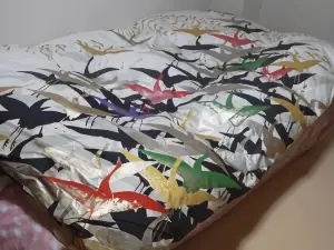 미즈바쇼