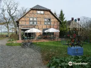 Alter Hof am Elbdeich