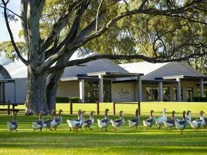 Serafino McLaren Vale