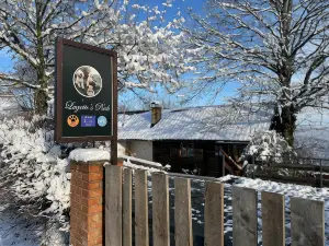Guest House Lagotto's Peak