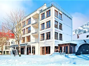 Plumbohms Echt-Harz-Hotel
