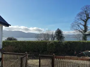 The Oystercatcher