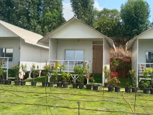Open Sky Tent House