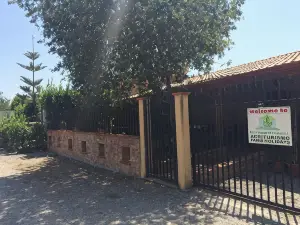 Società Agricola MG Florplant
