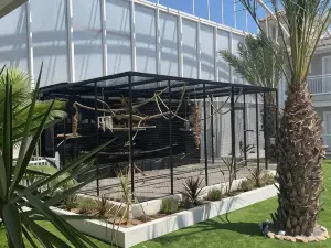 Hotel Algorfa
