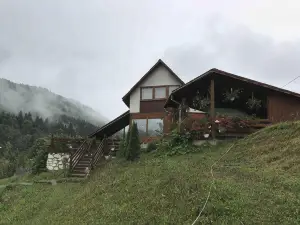 Pensiunea Casa Motilor