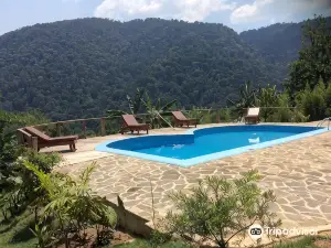트래커스 사파리 로지 브윈디