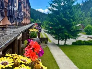 Horský Hotel Podjavorník