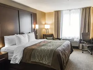 Comfort Inn & Suites Pharr/McAllen