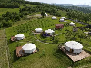 Società Agricola Cacigolara