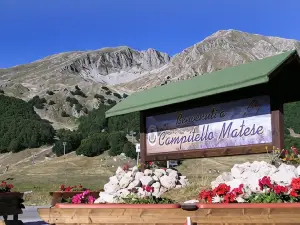 Chalet Vista Lago
