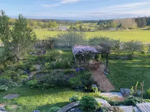 Bright art-filled home, fruit trees, valley view