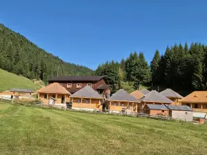 Andolia