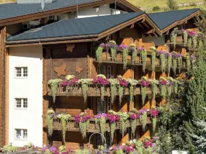 Hotel Butterfly