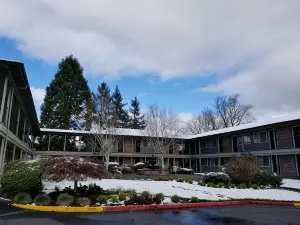 Village Inn