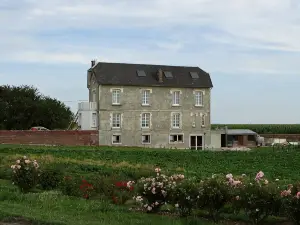 Villa Jules Verne - Chambres d'hôtes et gîte