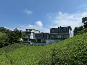 노스 스타 리조트 호텔