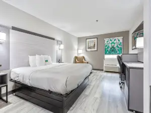 Quality Inn Edmund Pettus Bridge Area