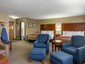Comfort Inn Near Gila National Forest