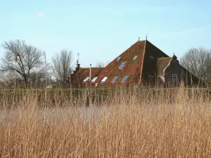 't Wapen Van Middelie