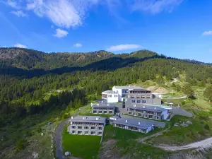 Grand Forest Metsovo - Leading Hotels of the World