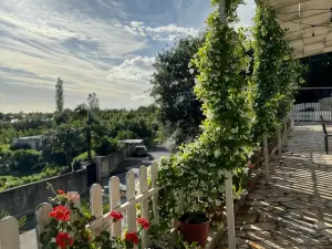 Vila Horizont