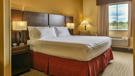 Holiday Inn Express & Suites Houston South - Pearland