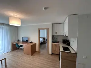 Bakuriani Orbi palace deluxe Apt 564 with kitchen