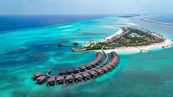 馬爾代夫巴塞羅鯨魚潟湖飯店
