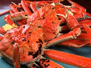 Ryokan Urashima