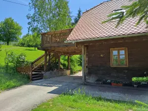 Apartment Iva