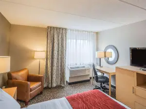 Comfort Inn - Nys Fairgrounds