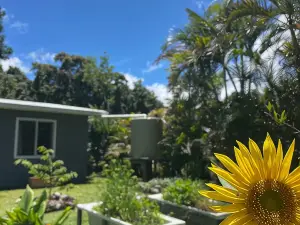 Cloud Cottage Eungella - Family friendly in beautiful rainforest mountain town!