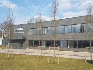 Svetainė