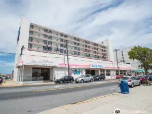 Beach Terrace Motor Inn