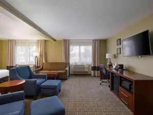 Comfort Inn Near Gila National Forest