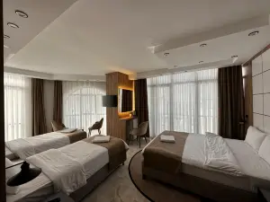 帕爾斯帕拉斯酒店